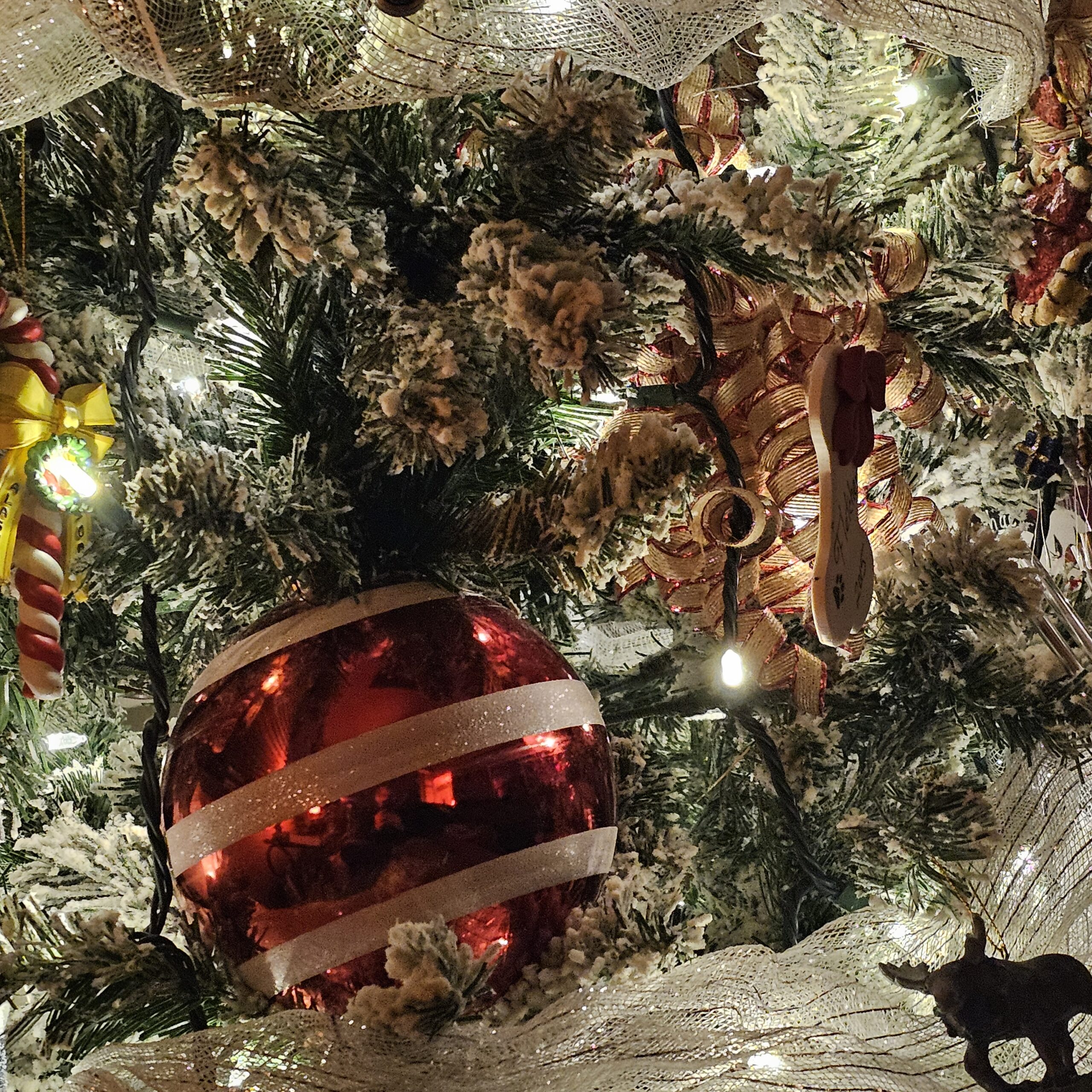 Yule Invocation 2025