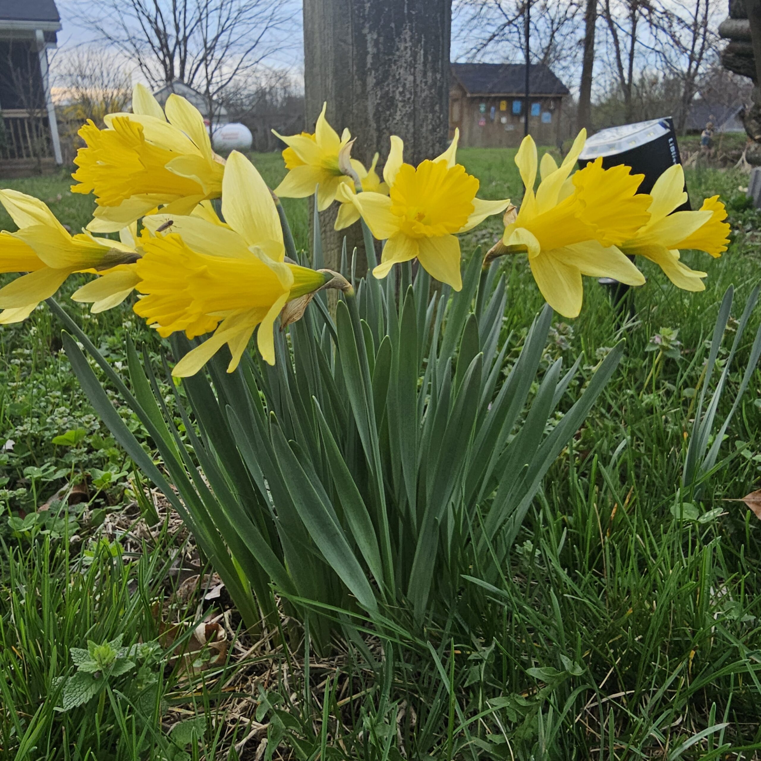 Wind, Rain, and Early-Spring Steadiness