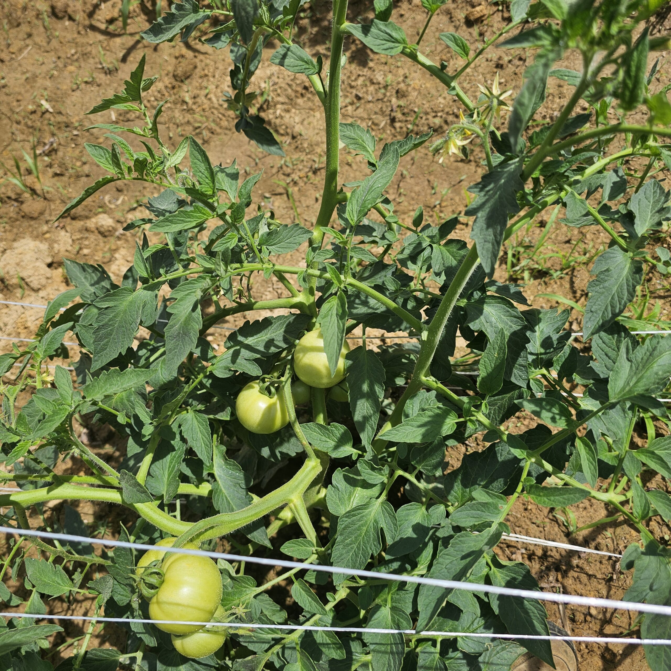 Lessons from a Growing Field
